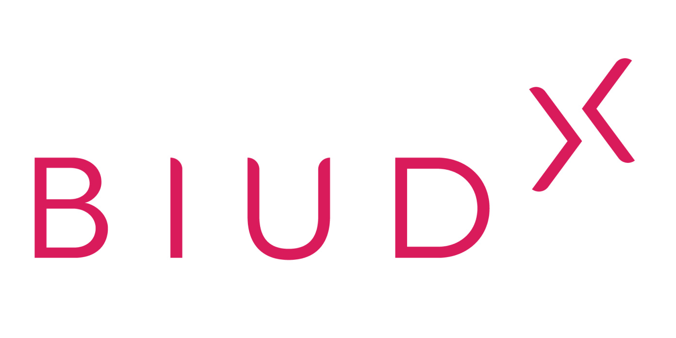 Biud Tecnologia - Marketing data driven